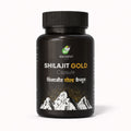 Badariya Gold Shilajit Capsule