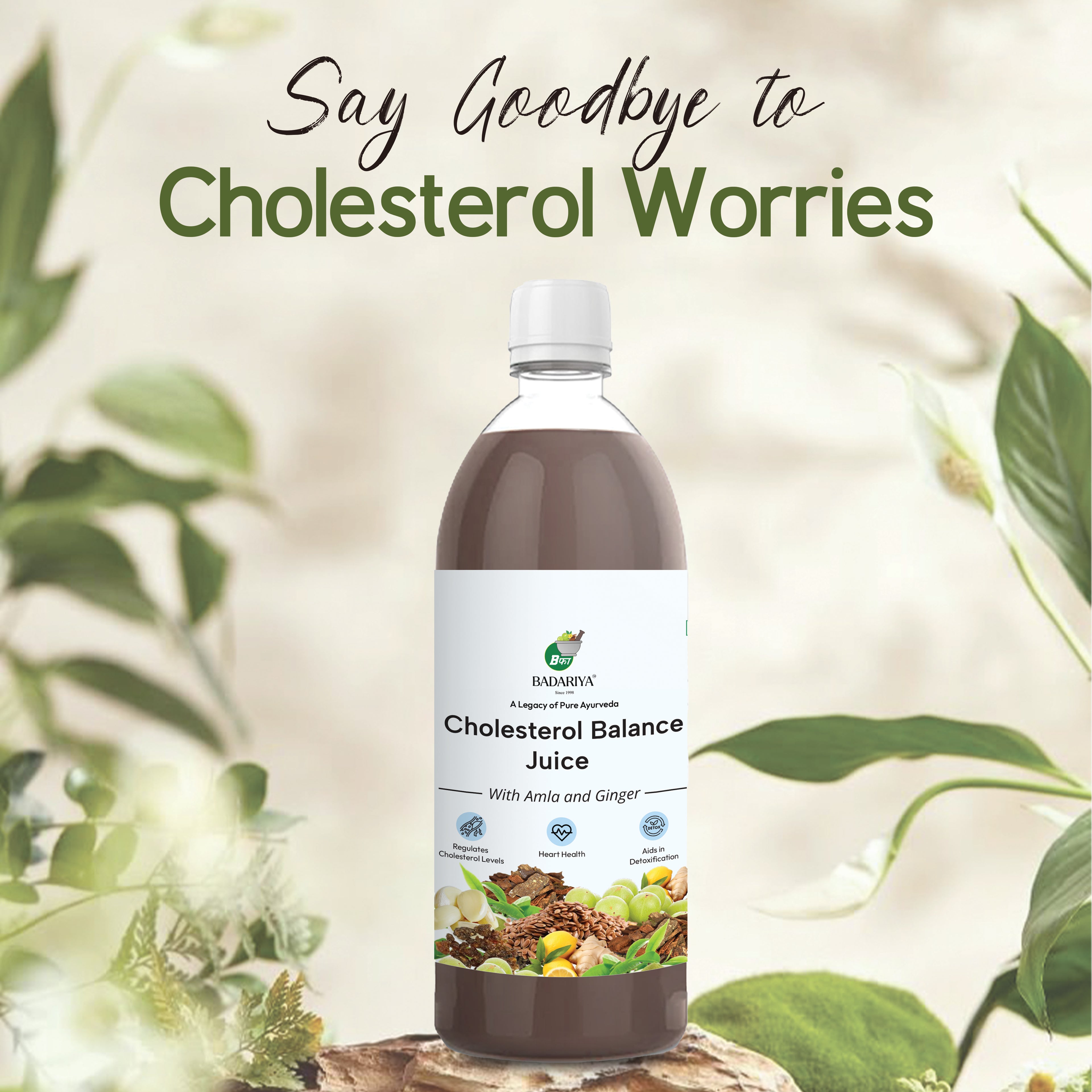 Badariya Cholesterol Balance Juice