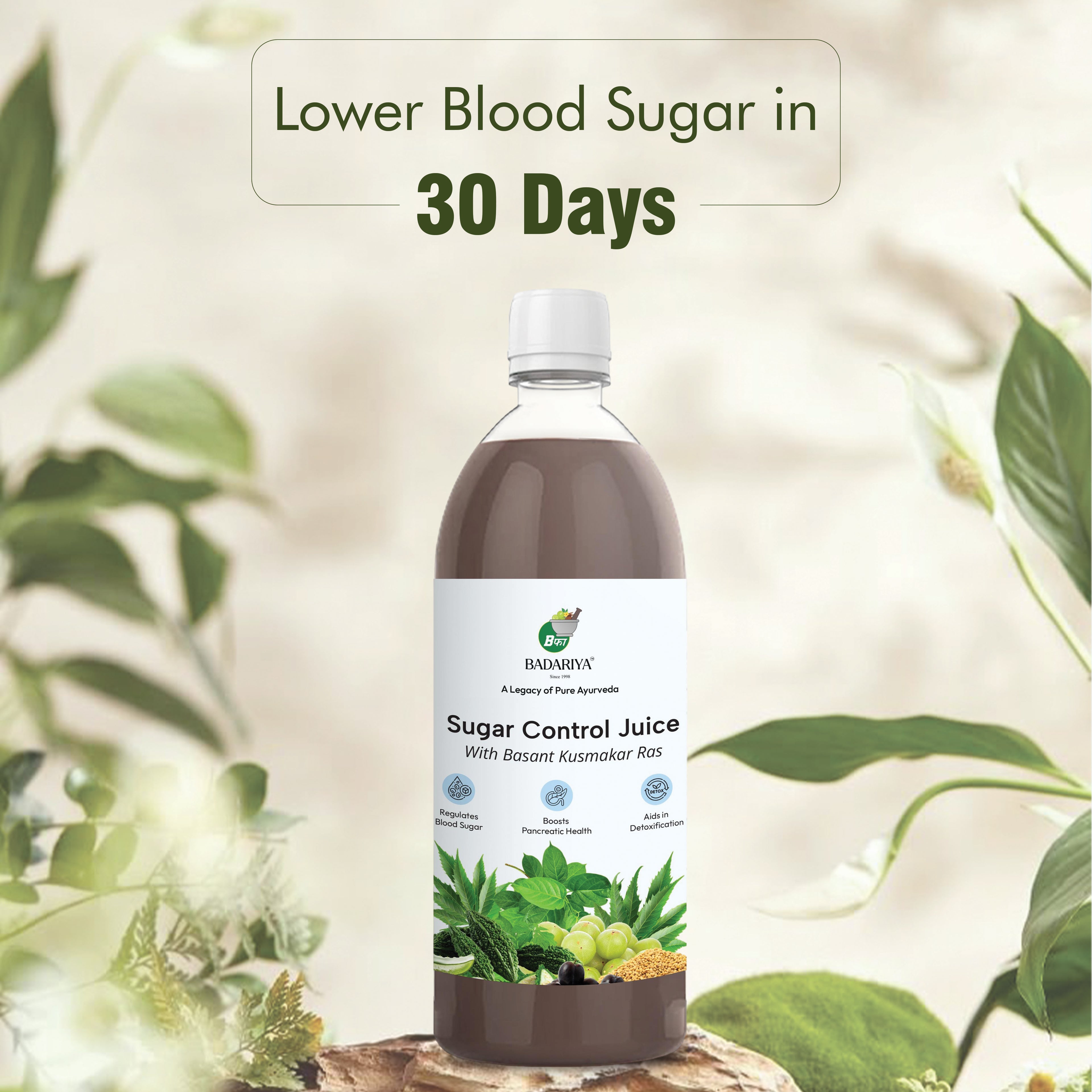 Badariya Sugar Control Juice