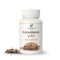 Badariya Punarnava Capsule