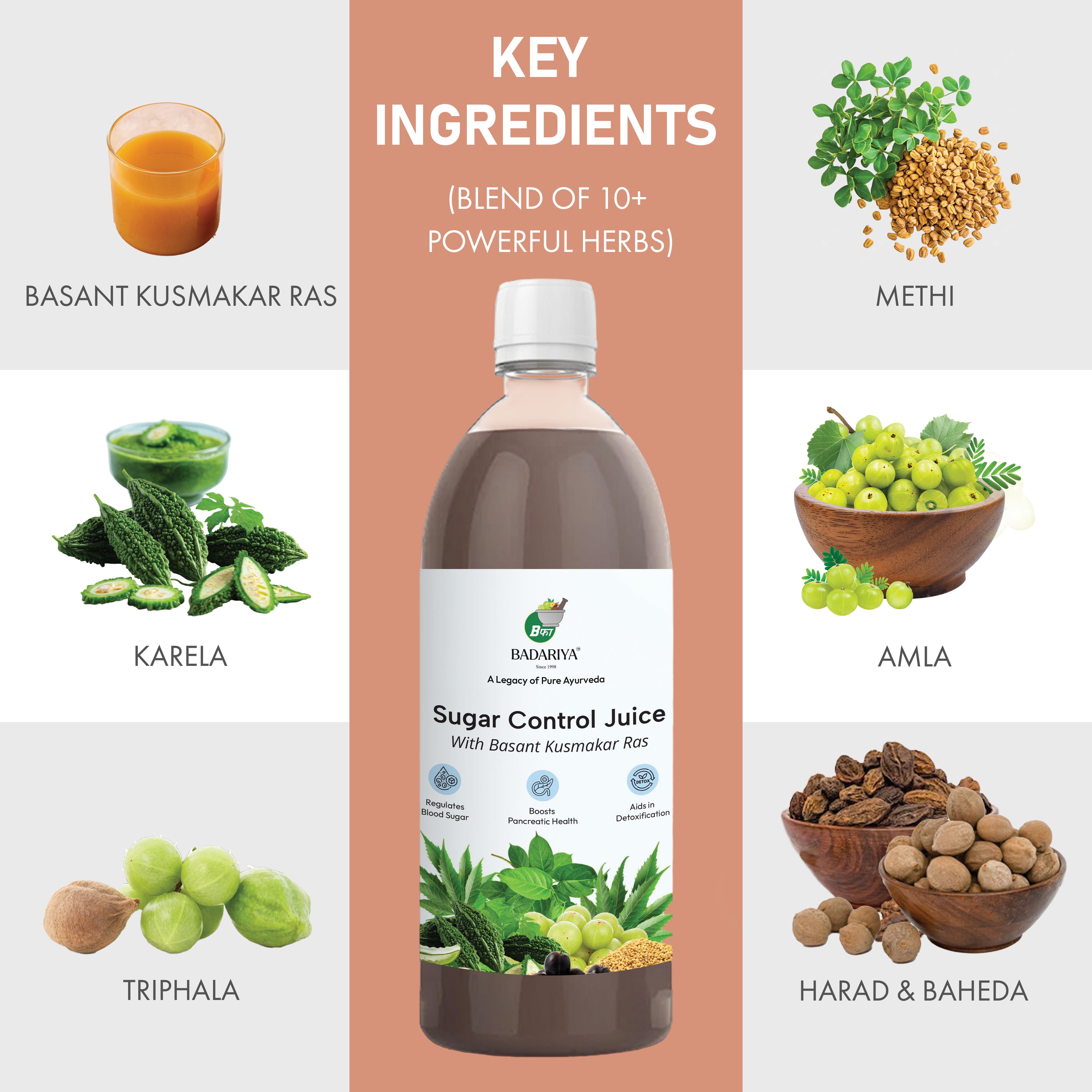 Badariya Sugar Control Juice