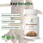 Badariya Punarnava Capsule