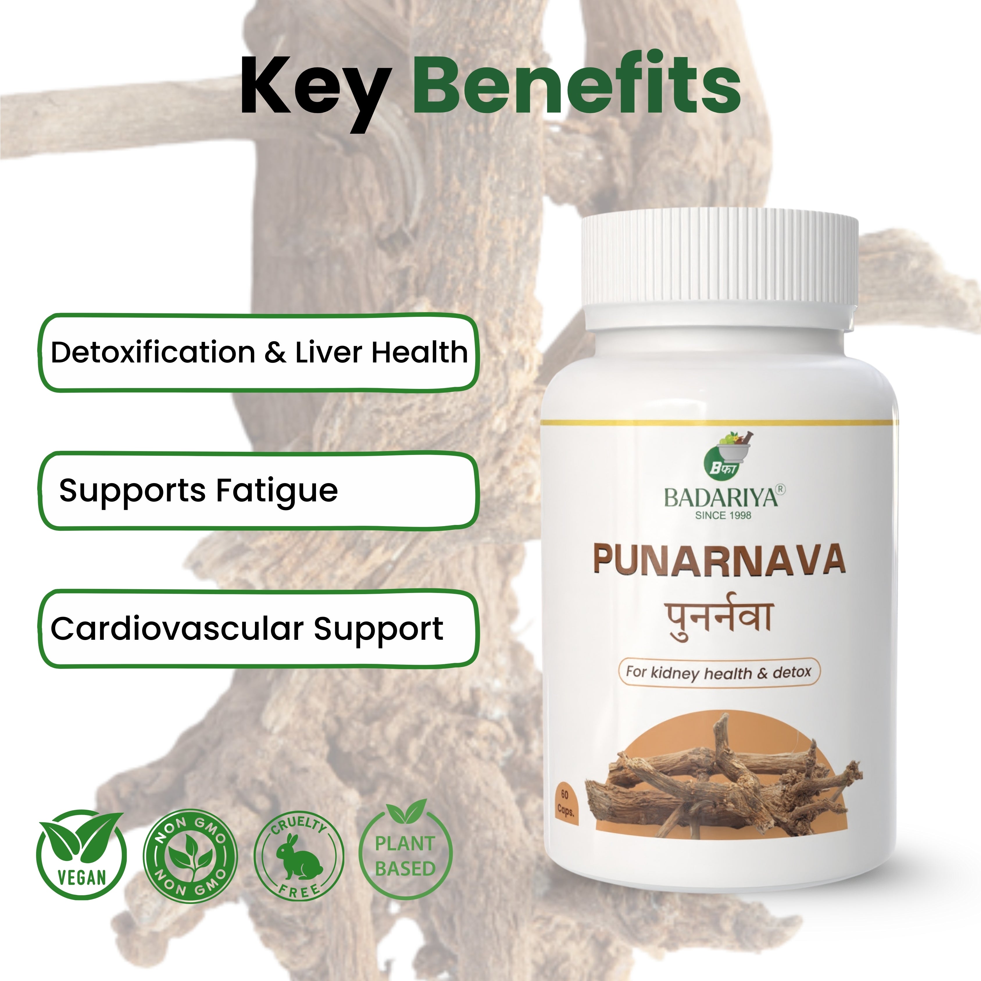 Badariya Punarnava Capsule