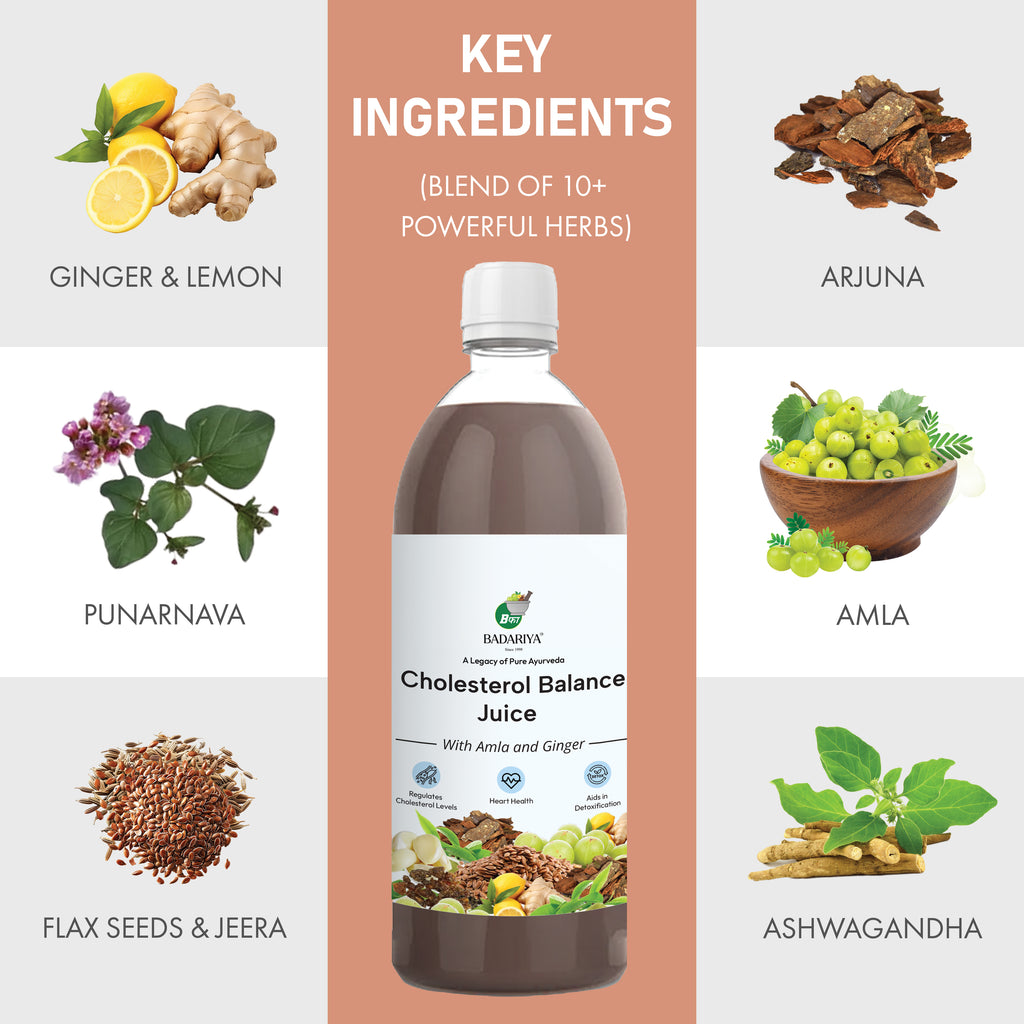 Badariya Cholesterol Balance Juice