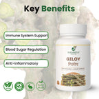 Badariya Giloy Capsule