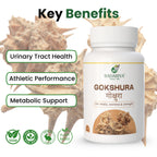 Badariya Gokshura Capsule
