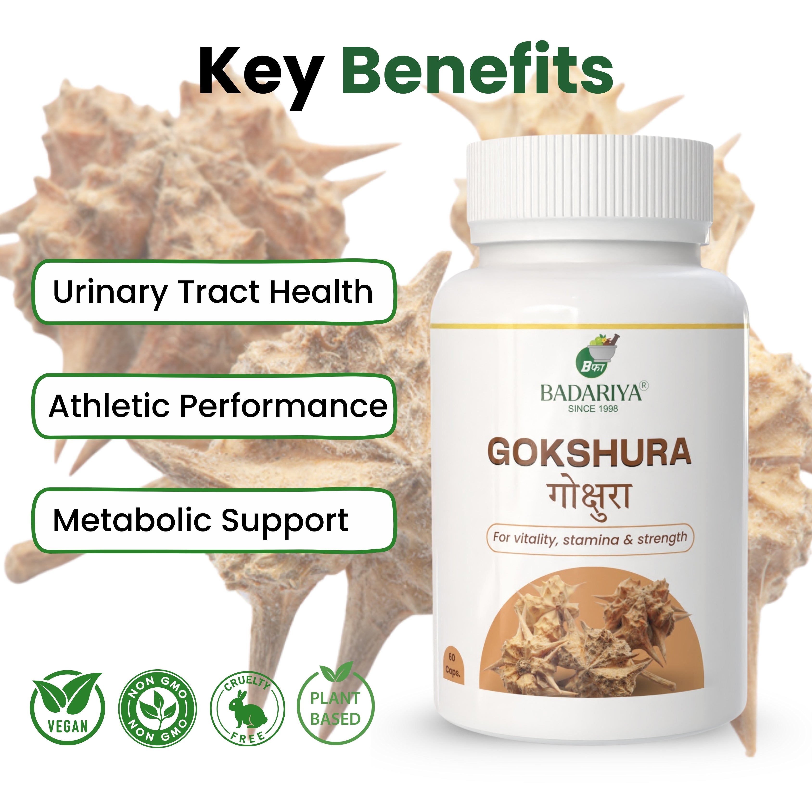 Badariya Gokshura Capsule